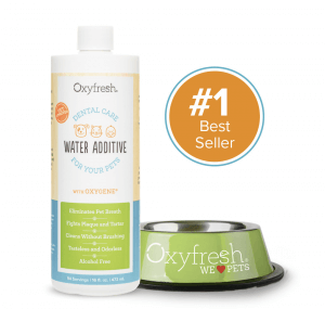 Oxyfresh mondwater voor honden